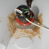 Querstrahl1